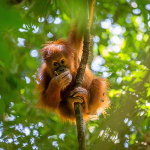 Image post by @discovery on Instagram