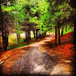 Image post by @nauflagstaff on Instagram