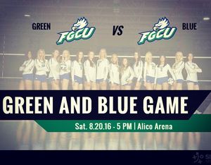 Image post by @fgcu_vb on Instagram