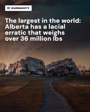 Image post by @curiocitycalgary on Instagram