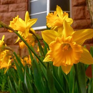 Image post by @nauflagstaff on Instagram