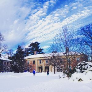 Image post by @hofstrau on Instagram