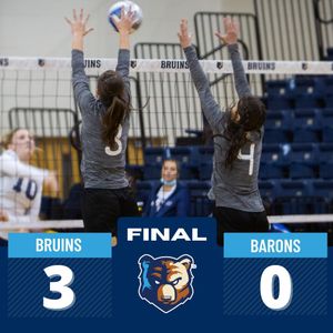 Image post by @bjubruins on Instagram