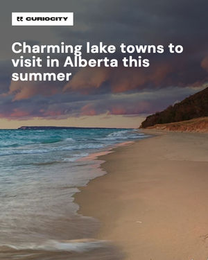 Image post by @curiocitycalgary on Instagram
