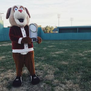 Image post by @salemredsox on Instagram