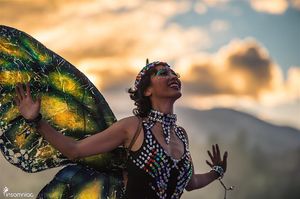Image post by @nocturnalwland on Instagram