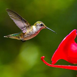 Image post by @discovery on Instagram