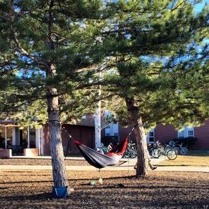 Image post by @nauflagstaff on Instagram