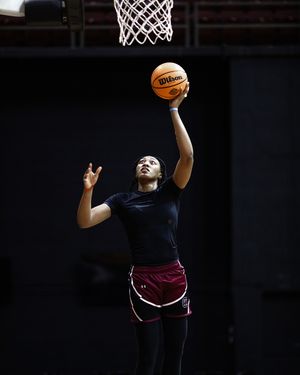 Image post by @gamecockwbb on Instagram