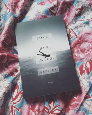 Image post by @amanda_carmela on Instagram