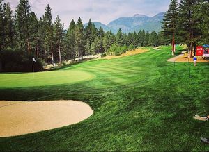 Image post by @barracudachampionship on Instagram