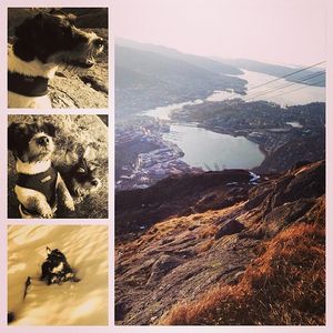 Image post by @carolinedame on Instagram