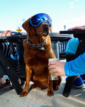 Image post by @reconbrewing on Instagram