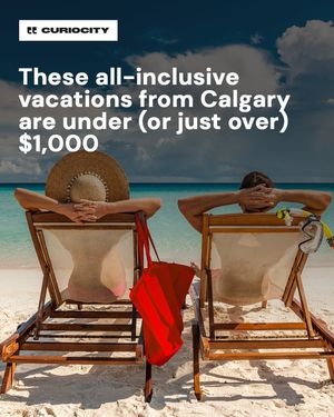 Image post by @curiocitycalgary on Instagram