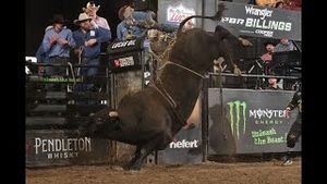 Video post by @pbr on YouTube