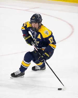 Image post by @merrimack_mih on Instagram
