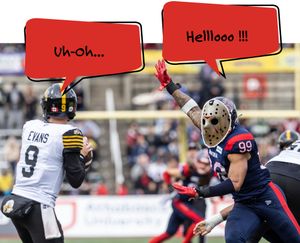 Image post by @mtlalouettes on Instagram