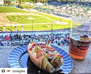 Image post by @rocredwings on Instagram