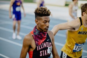 Image post by @isuredbirds on Instagram