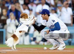 Image post by @GettySport on Twitter