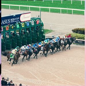 Image post by @pegasusworldcup on Instagram