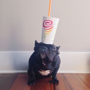 Image post by @jambajuice on Instagram