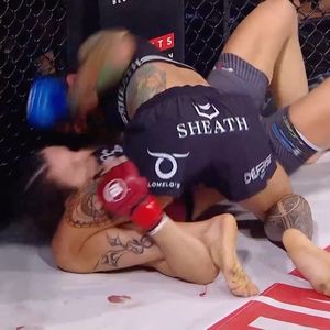 Image post by @bellatormma on Instagram