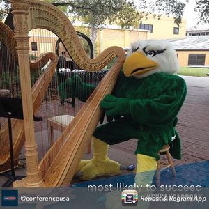 Image post by @meangreensports on Instagram