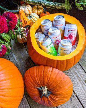 Image post by @drinkspindrift on Instagram