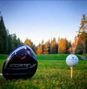 Image post by @wilsongolfcanada on Instagram