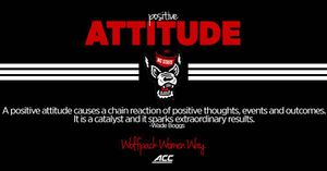 Image post by @packwomensbball on Instagram