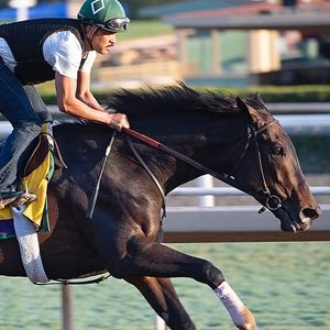 Image post by @thebloodhorse on Instagram
