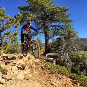 Image post by @bikerumor on Instagram