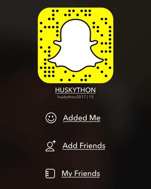 Image post by @huskython on Instagram