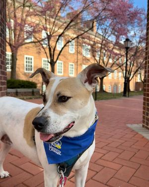 Image post by @udelaware on Instagram