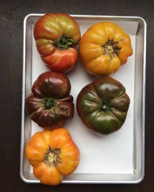 Image post by @ryanpeterspgh on Instagram