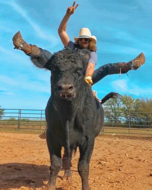 Image post by @dalebrisby on Instagram