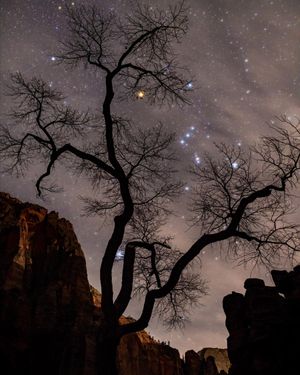 Image post by @natgeo on Instagram