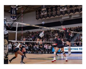 Image post by @photographer.var on Instagram