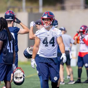 Image post by @mtlalouettes on Instagram