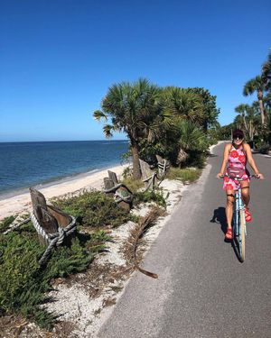 Image post by @visitsarasotacounty on Instagram
