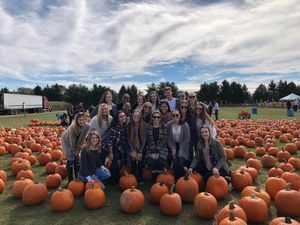 Image post by @hofstradanceteam on Instagram