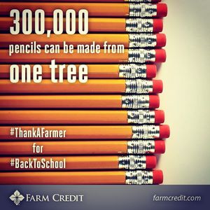 Image post by @farmcredit on Instagram