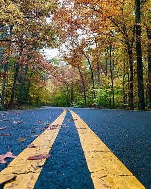 Image post by @nationalparkservice on Instagram