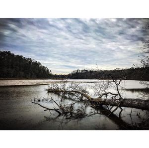 Image post by @bcr_visuals on Instagram