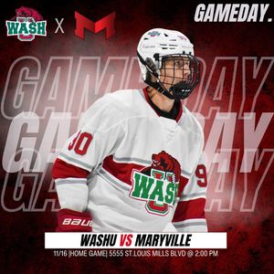 Image post by @washuhockey on Instagram