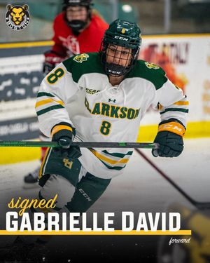 Image post by @TheBostonPride on Twitter