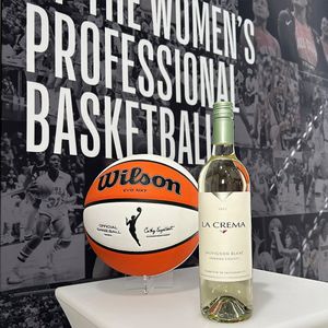 Image post by @wnba on Instagram