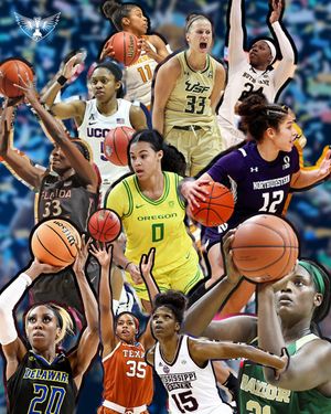 Image post by @DallasWings on Twitter