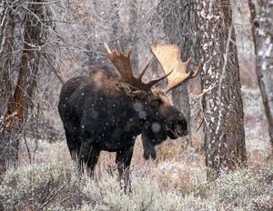 Image post by @nationalparkservice on Instagram